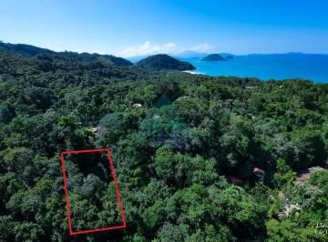 Terreno · 600m² · Terreno, Praia do Félix, Ubatuba - R$ 650 mil, Cod: 2925