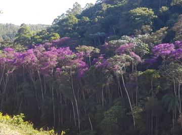 Rural · Sítio em Alto Caldeirão, Santa Teresa