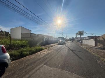 0 · terreno à venda em Nova Campinas