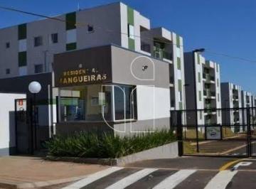 Apartamento · 48m² · 2 Quartos · 1 Vaga · Apartamento 2 dormitórios no Residencial Mangueiras · Marília