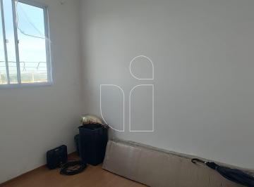 Apartamento · 47m² · 2 Quartos · 1 Vaga · Apartamento 2 quartos · Segurança 24h · Antenor Barion, Marília