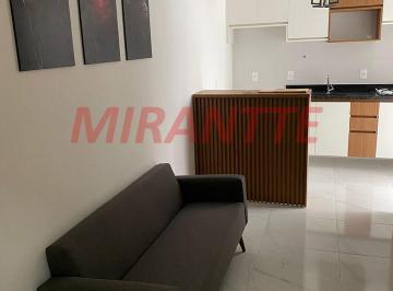 4599ef57e90dfbb1bfcbeb61c0045fbc.jpg · Apartamento de 32m² com 1 quartos