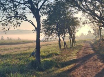 Rural · 258830m² · Sítio em Viamão com usina Fotovoltáica
