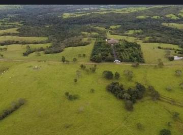 Rural , Brasília · N O V I D A D E PRECIOSIDADE RARIDADE NO PADEF
