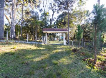 Rural de 3 quartos, Rio Branco do Sul · Chácara à venda em Rio Branco do Sul - Paraná