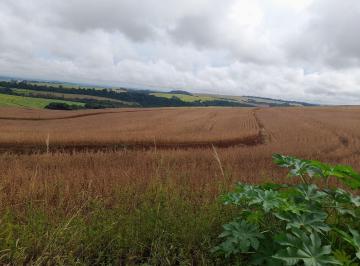 Rural · 242000m² · Área rural à venda 10 alqueires Londrina pr Caiçaras - R$ 330.000 por alq - Londrina/PR