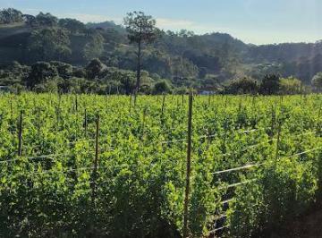 IMG20260619162135170HDR.jpg · Terreno para Venda em Munhoz/MG - 1 Dorm. 1800 m2 Área Útil
