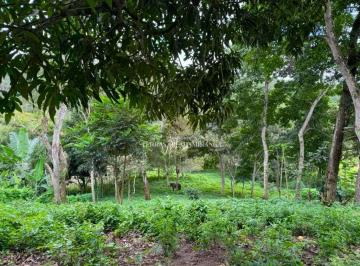 Terreno · 3500m² · Terreno de 3.500 m2 em Mulungu | Natureza, privacidade e a poucos minutos do centro
