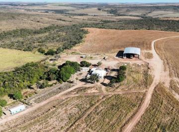 Rural , Unaí · São 1.600 hectares. Tem 600 hectares formados em pastos 200 ha em eucaliptos.
Planta 1.100 hectares.