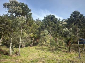 Terreno · 20000m² · Terreno à venda no bairro Rota Das Cachoeiras - Urubici/SC