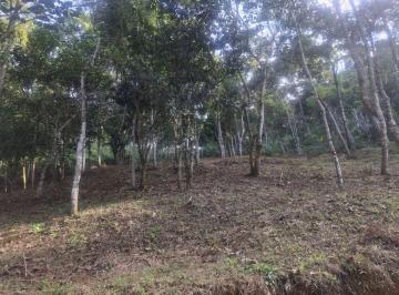 Terreno , Visconde de Mauá · Terreno de 1 mil m2, à venda em Visconde de Mauá, a 10 minutos do vilarejo, estrada de acesso aberta