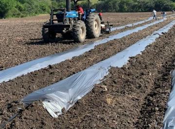 Terreno , Mairinque · Terrenos de 1.000m² em Condomínio Fechado em Mairinque/SP