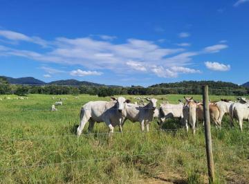 Rural de 5 quartos, Jacupiranga · Fazenda à Venda – Estrutura Completa para Pecuária e Produção