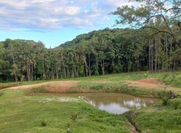 77caa2b7fdb530141b85853b4e855a15708ad613 · Chácara à venda, 24451 m² por R$ 750.000,00 - Colônia Sesmaria - Morretes/PR