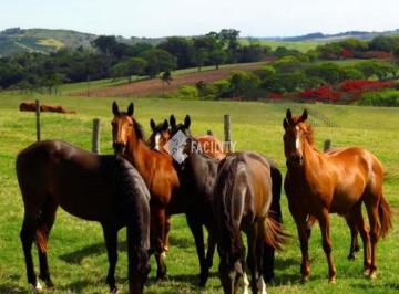 0 · HARAS DE ALTO PADRÃO A VENDA NA REGIÃO DE CAMPINAS-SP