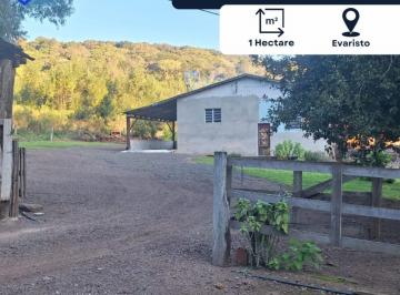 Foto 01 · Chácara/sítio/fazenda, Evaristo, Santo Antônio da Patrulha, RS