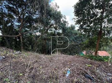 014528598465d1db0fa5a50389361d1ddd6cd647 · Terreno à venda, 1500 m² por R$ 490.000,00 - Algarve - Cotia/SP