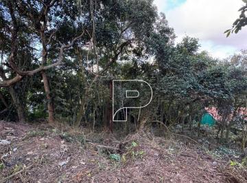 bd461ef54af1824240bcf8768c2b913bf7e3dedb · Terreno à venda, 1500 m² por R$ 490.000,00 - Algarve - Cotia/SP