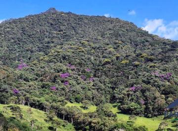 Terreno · 41ha · Rural em São Bento do Sapucaí: Espaço e Altitude na S. da Mantiqueira