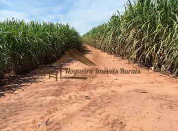 Rural , Cerqueira César · Fazenda com 40 alqueires na Região de Cerqueira César