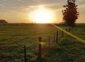 Terreno , Alumínio · Lotes de 1.000m² em Mairinque em Região com Grande Potencial