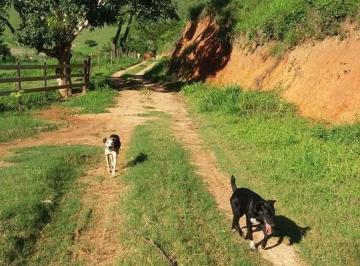 Terreno , Alumínio · Lotes de 1.000m² em Mairinque com Estrutura Pronta para Construir
