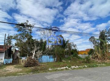 whatsapp-image-2025-11-28-at-11-36-091764497123796.jpeg · Terreno à Venda, Jardim Gaivotas - Caraguatuba SP