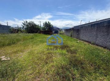 8887dcef-172d-4464-88e8-5856c44e6d511771620296199.jpeg · Terreno à venda, Golfinhos, Caraguatatuba, SP