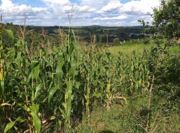 Rural · 1500m² · K- Chácara com preço de oportunidade garanta já
