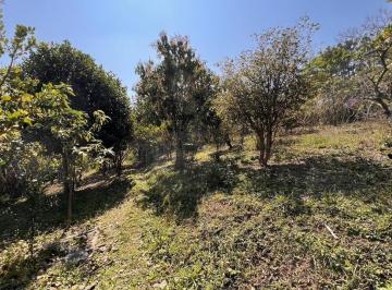 Rural · 1800m² · 4 Vagas · SA CHÁCARA A VENDA EM STA ISABEL/BAIRRO CANADÁ