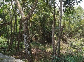 Terreno · 1650m² · SA/TERRENO A VENDA EM RIBEIRÃO PIRES/ OURO FINO