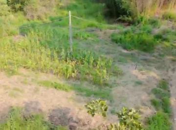 Terreno · 500m² · Terrenos em Mogi das Cruzes – Quatinga
Excelente oportunidade para quem busca