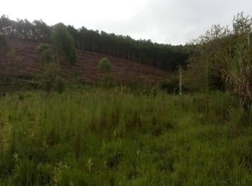 Terreno · 24000m² · V11 - Vendo Uma Área de 4 alqueires Nazaré Paulista Urbano