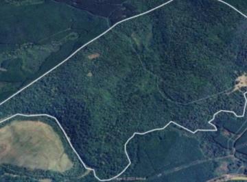 Área Rural com 200 ha - Herciliópolis - Água Doce - SC - Foto [0] · Área Rural com 200 ha - Herciliópolis - Água Doce - SC