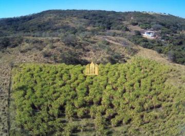 Foto 01 · FAZENDA 230.000M² EM CONDOMÍNIO - MATOZINHOS