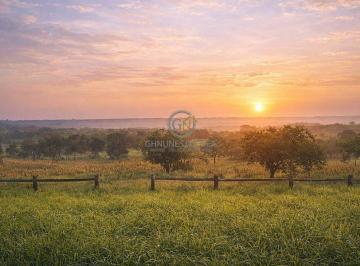 Pôr do sol panorâmico sobre a fazenda de 1.700 hectares. Uma das melhores oportunidades do mercado imobiliário rural com assunção de dívida e permuta facilitada. · Fazenda à Venda em Montes Claros MG: 1.700 ha com Dívida