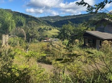 Foto 14 · Sítio à venda em Taquara-RS, bairro Três Irmãos: 2 quartos, 1 sala, 3 hectares de área.