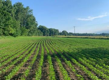 Terreno , Mairinque · Mais do Que um Terreno, Um Projeto de Vida