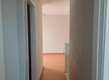 DSC_20260826_180129_000.jpeg · Excelente apartamento para venda em Vila Palmeiras com 2 quartos, 47m² - julianamiravete#LYSXX