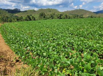 Rural · 1427800m² · Fazenda 142,78 ha à venda em Área Rural, Caldas