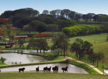 Photo_0 ·
Haras de alto padrão a venda região Capinas, SP