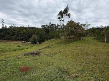 e113d813d53dce74e6450b607a3be85a53c0bb2b · Terreno à venda, 34.250 m² por R$ 580.000 - Testo Central - Pomerode/SC
