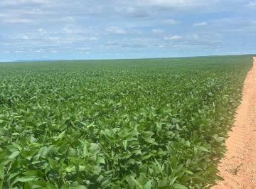 Rural de 3 quartos, Colinas do Tocantins · Fazenda em Colinas Tocantins, aceita parcelamento