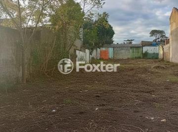 edited-image-1782233908427.jpg · Terreno, 456 m², em Olaria