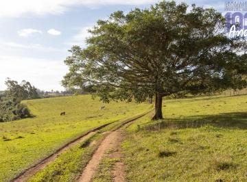 Imagem 1 · Sítio para venda em Estância Grande, Viamão