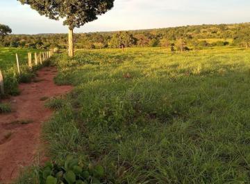 Imagem 1 · Fazenda