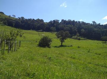 Imagem 1 · Sítio