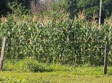 Imagem 1 · Fazenda
