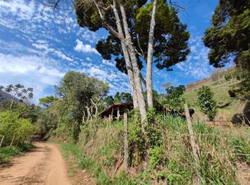 Imagem 1 · Sítio para venda em Centro, Silveiras