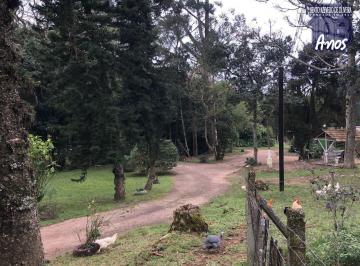 Imagem 1 · Sítio para venda em Restinga, Porto Alegre